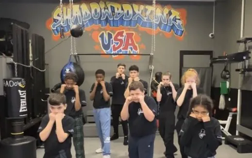 Shadowboxing USA Picture 2