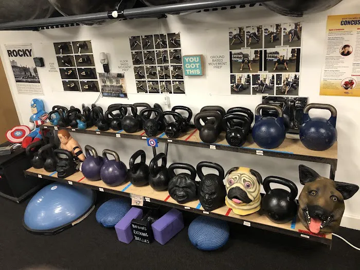 Timeless Training Picture 1
