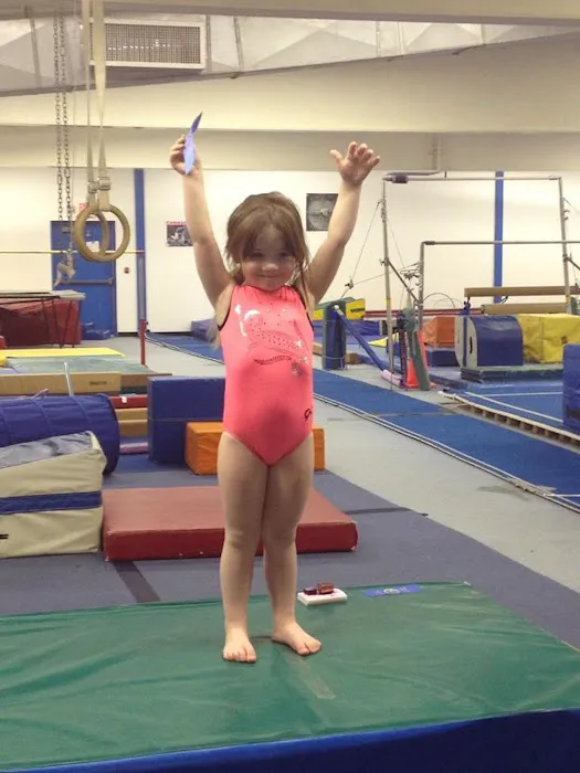 World Class Gymnastics Academy Picture 5