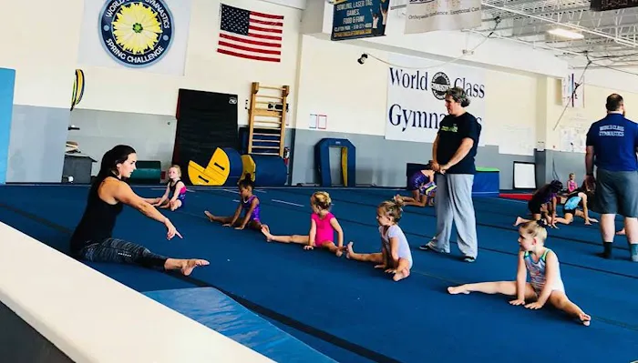 World Class Gymnastics Academy Picture 4