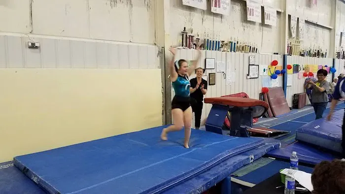 World Class Gymnastics Academy Picture 1