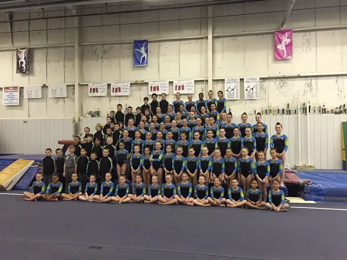 World Class Gymnastics Academy Picture 9