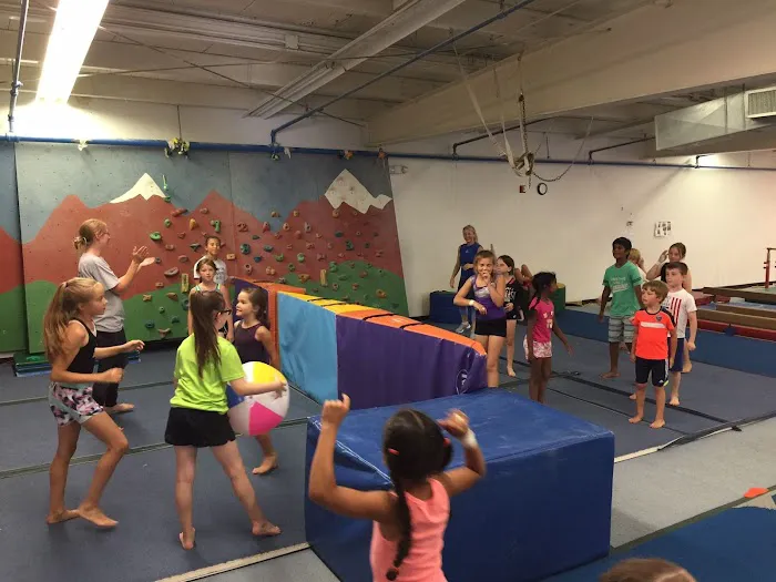 World Class Gymnastics Academy Picture 8