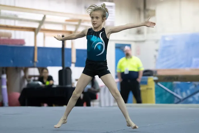 World Class Gymnastics Academy Picture 10