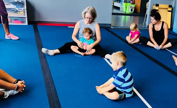 World Class Gymnastics Academy Picture 2