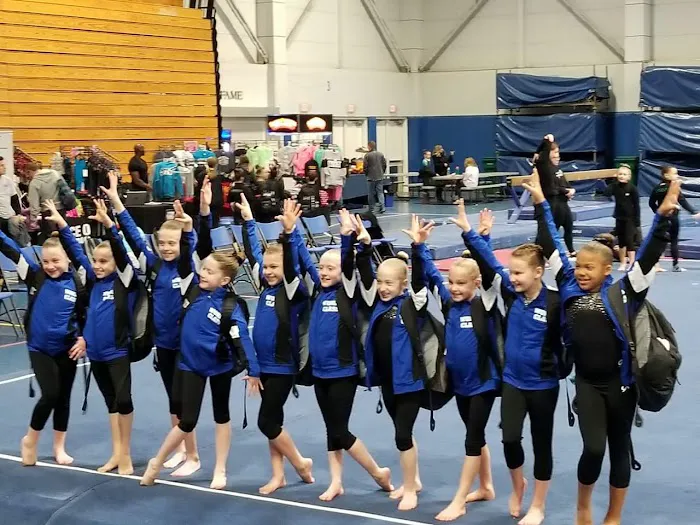 World Class Gymnastics Academy Picture 1