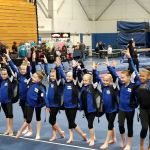 World Class Gymnastics Academy