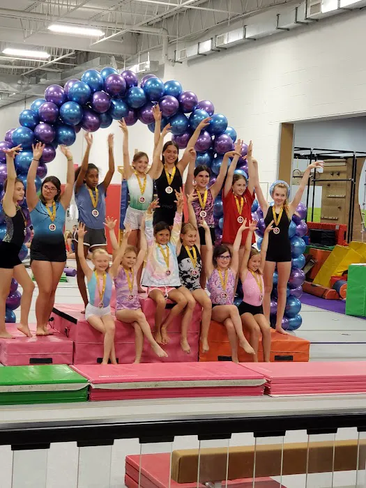 Cartwheels Gymnastics Center Picture 3