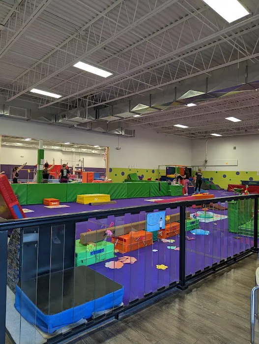 Cartwheels Gymnastics Center Picture 4