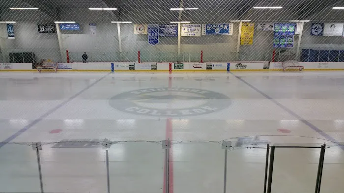 Saratoga Springs Figure Skating Club - Vernon Ice Rink Picture 8