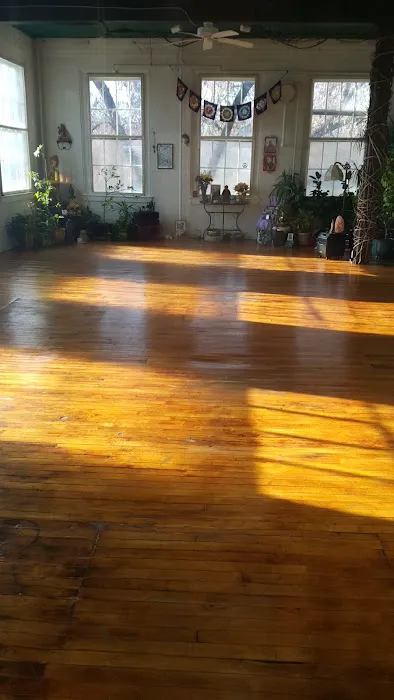 Lemon Tree Yoga Studio Picture 1