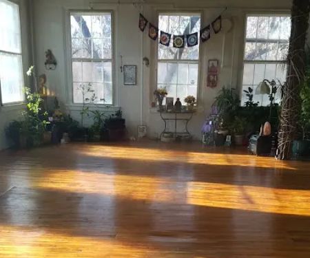 Lemon Tree Yoga Studio