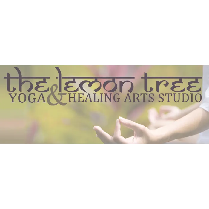 Lemon Tree Yoga Studio Picture 2