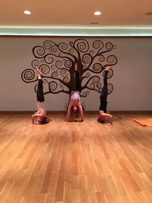 The Hot Yoga Spot Picture 4