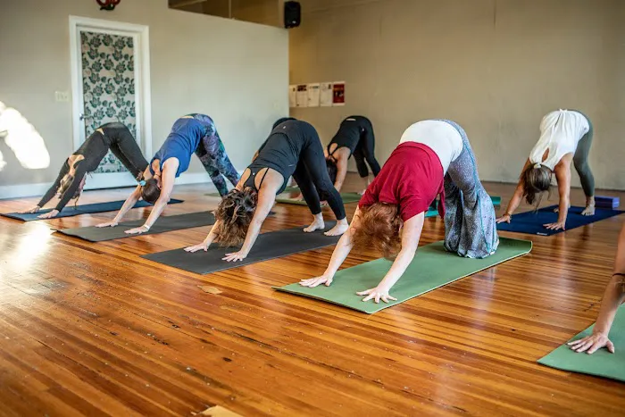 Yoga Mandali Picture 2