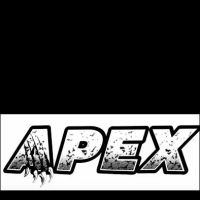 Apex Training L.L.C. ico