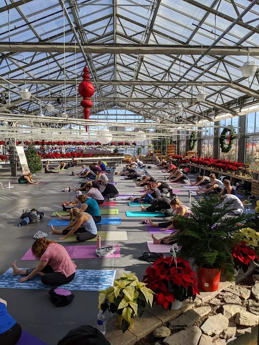 Syracuse Yoga Picture 9