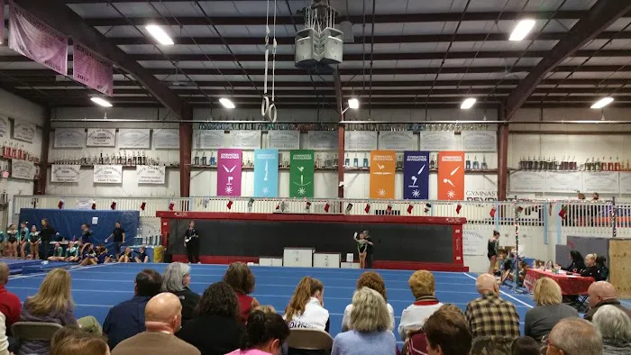 Gymnastics Revolution Picture 2