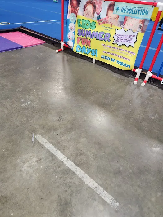 Gymnastics Revolution Picture 3