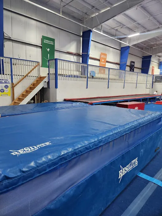 Gymnastics Revolution Picture 8
