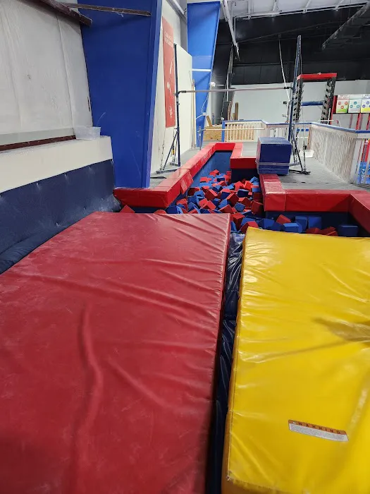 Gymnastics Revolution Picture 7