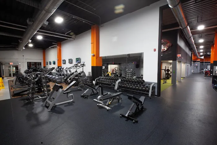 Iron Factory Gym Picture 5