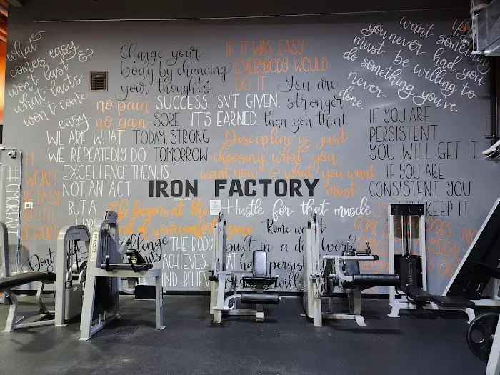 Iron Factory Gym Picture 9