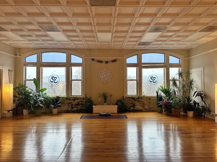 EVOLVE Yoga Wellness Nutrition Picture 8