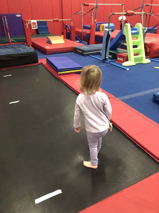 Gymnastic Spectrum Picture 4