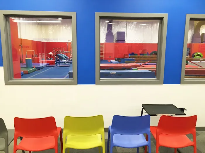 Gymnastic Spectrum Picture 5