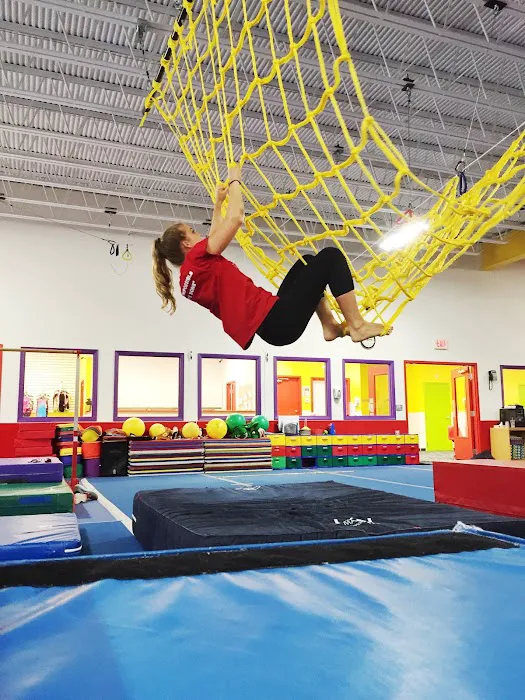 Gymnastic Spectrum Picture 10