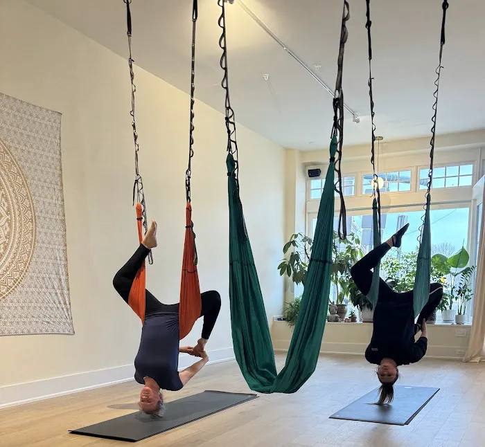 Be Well Community Yoga, LLC Picture 7