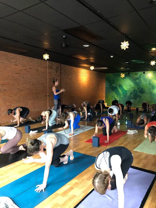 Greenhouse Yoga Picture 2