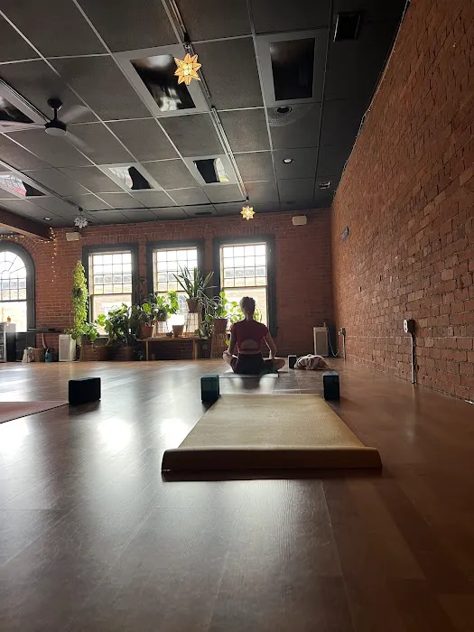 Greenhouse Yoga Picture 10
