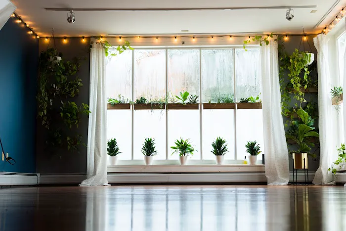 Greenhouse Yoga Picture 6