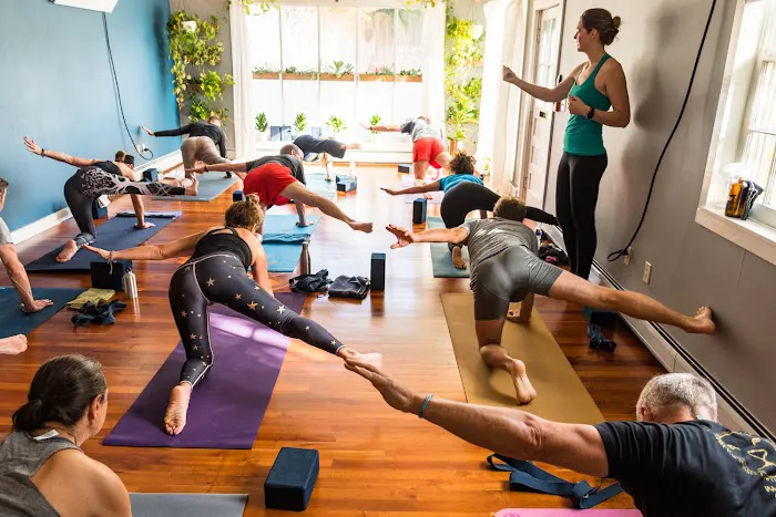 Greenhouse Yoga Picture 8
