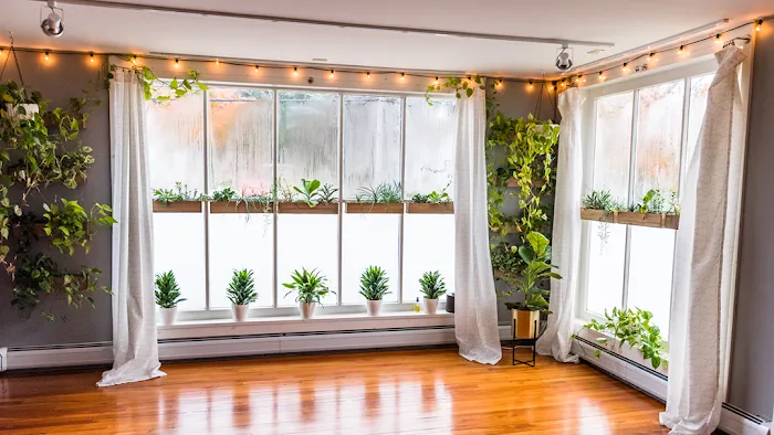 Greenhouse Yoga Picture 9