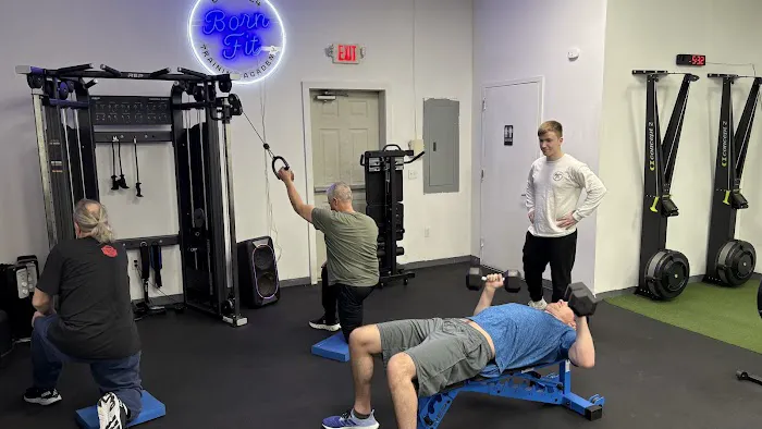 BornFit Training Academy Picture 2