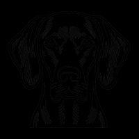 Westchester Athletic Club ico