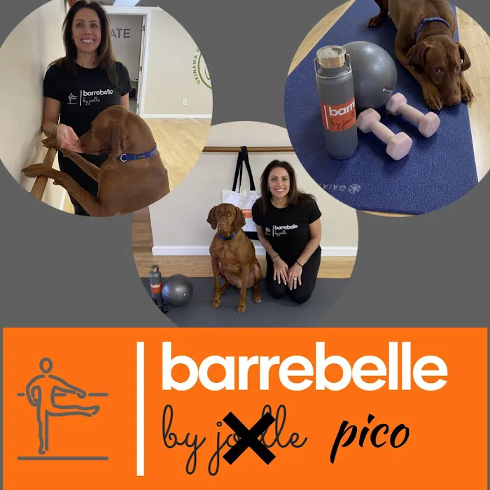 barrebelle by joelle Picture 5