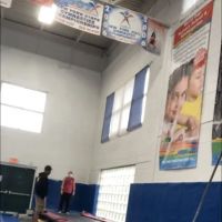 World Cup Gymnastics ico