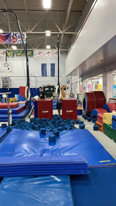World Cup Gymnastics Picture 4