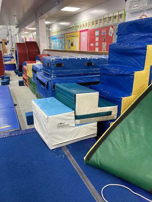 World Cup Gymnastics Picture 2