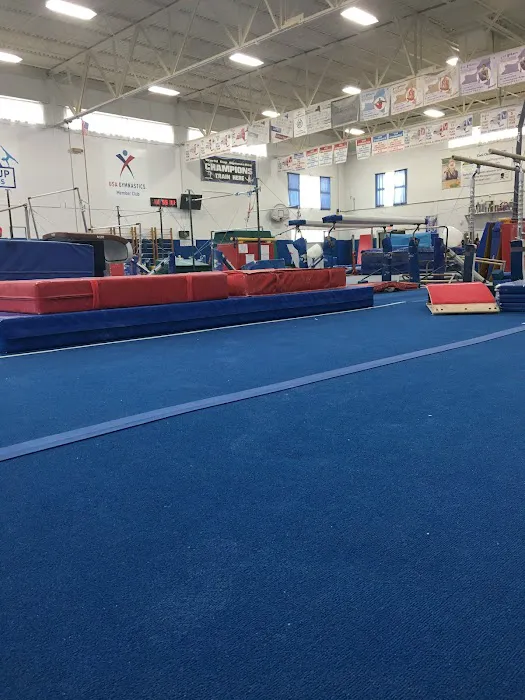 World Cup Gymnastics Picture 5
