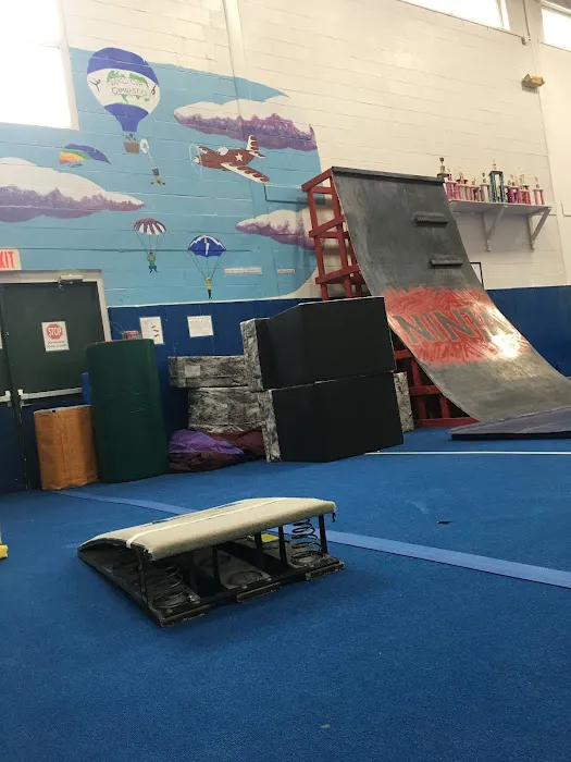 World Cup Gymnastics Picture 6
