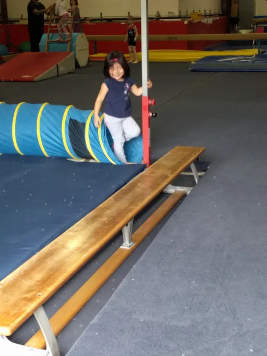 Galaxy Gymnastics of Rockland Picture 8