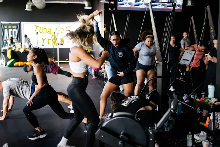 Alpha Fit Club Picture 4
