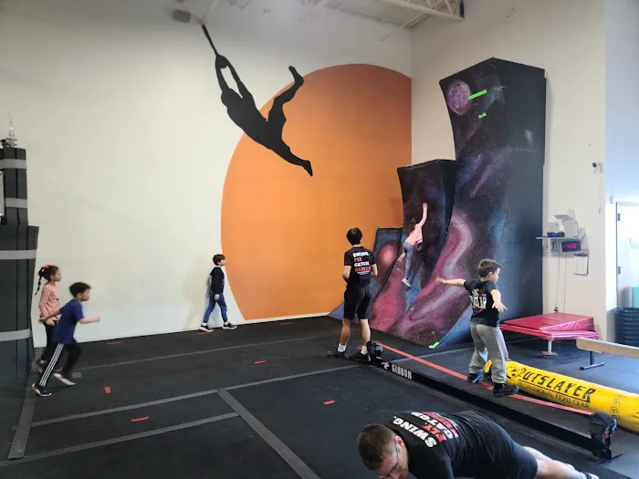 Meadowlands Gymnastics Academy & Ninja Picture 7