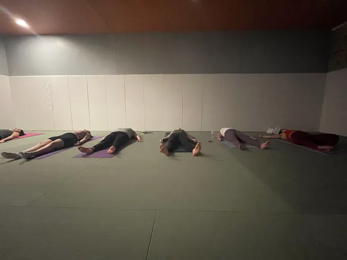 Ᾱtman Yoga & BJJ Picture 1