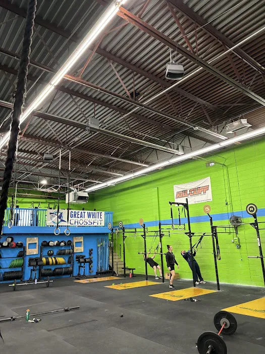Great White Conditioning & Fitness Picture 4
